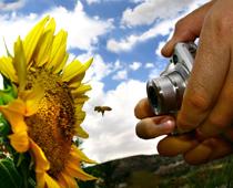 ph-photo-B.jpg