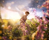 plural-1-fairy-B.jpg