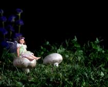 review-fairy-B.jpg