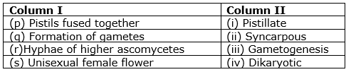 sexual-reproduction-in-flowering-plants-mcq-2.png