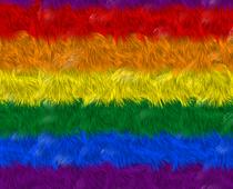 splash-color1-B.jpg