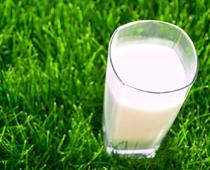ss-milk-B.jpg