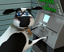 tion-cow-B.jpg