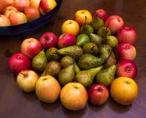 trick-2-apple-B.jpg