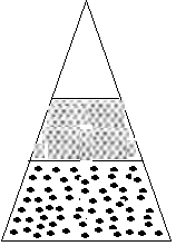 unit-10_ch-4_que_no-66_img_no1.png