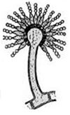 unit-1_ch-4_que_no-58_img_no1.png