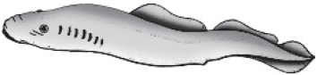 unit-1_ch-7_que_no-1328_img_no1.png