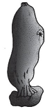 unit-1_ch-8_que_no-368_img_no1.png