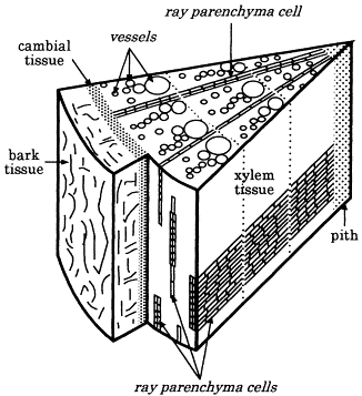 unit-2_ch-1_qn-22Exp_img_no1.png