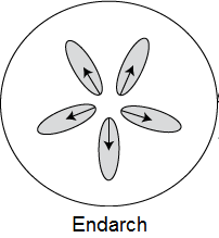 unit-2_ch-1_qn-39Exp_img_no1.png
