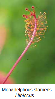 unit-2_ch-2_qn-398Exp_img_no1.png