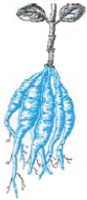 unit-2_ch-3_que_no-26_img_no1.png