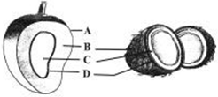 unit-2_ch-3_que_no-33_img_no1.png