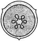 unit-2_ch-3_que_no-414_img_no1.png
