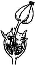 unit-2_ch-3_que_no-466_img_no1.png