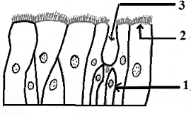 unit-2_ch-5_que_no-145_img_no1.png