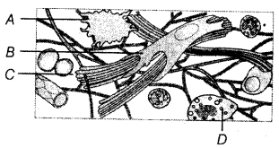 unit-2_ch-5_que_no-15_img_no1.png