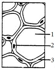 unit-2_ch-5_que_no-47_img_no1.png