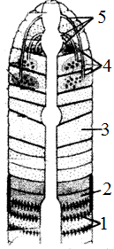 unit-2_ch-6_que_no-111_img_no1.png