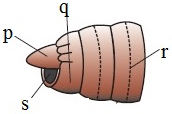 unit-2_ch-6_que_no-112_img_no1.png