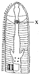 unit-2_ch-6_que_no-18_img_no1.png