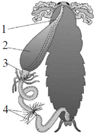 unit-2_ch-6_que_no-43_img_no1.png