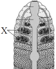 unit-2_ch-6_que_no-44_img_no1.png