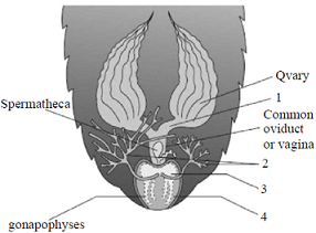 unit-2_ch-6_que_no-46_img_no1.png