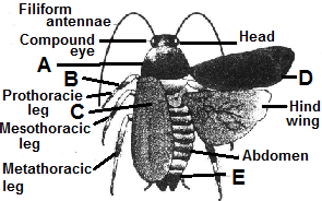 unit-2_ch-6_que_no-47_img_no1.png