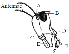 unit-2_ch-6_que_no-48_img_no1.png