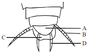 unit-2_ch-6_que_no-54_img_no1.png