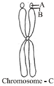 unit-3_ch-2_que_no-144_img_no1.png