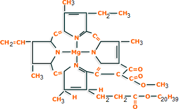 unit-3_ch-4_qn-129Exp_img_no1.png
