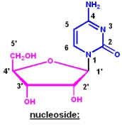 unit-3_ch-4_qn-154Exp_img_no1.png