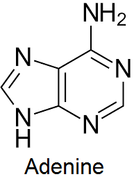 unit-3_ch-4_qn-250Exp_img_no2.png