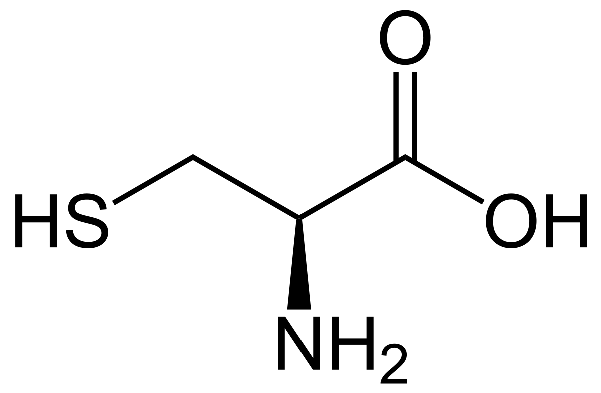 unit-3_ch-4_qn-335Exp_img_no3.png