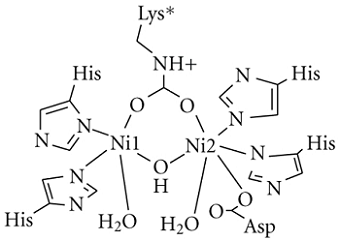 unit-3_ch-4_qn-515Exp_img_no1.png