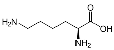unit-3_ch-4_qn-574Exp_img_no1.png
