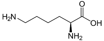 unit-3_ch-4_qn-81Exp_img_no1.png
