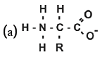 unit-3_ch-5_qn-233choice_img_no1.png