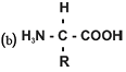 unit-3_ch-5_qn-233choice_img_no2.png