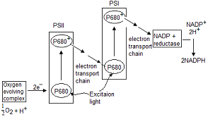 unit-4_ch-4_qn-403Exp_img_no1.png