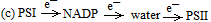 unit-4_ch-4_qn-403choice_img_no3.png