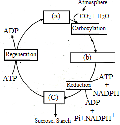 unit-4_ch-4_que_no-109_img_no1.png