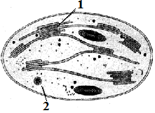 unit-4_ch-4_que_no-42_img_no1.png
