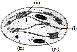 unit-4_ch-4_que_no-80_img_no1.png