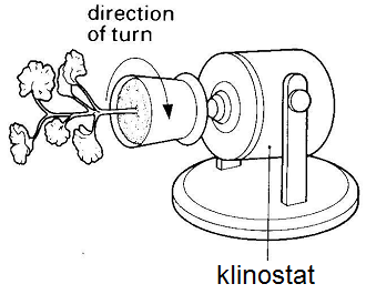 unit-4_ch-6_qn-155Exp_img_no1.png