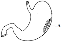 unit-5_ch-2_que_no-54_img_no1.png