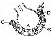 unit-5_ch-4_que_no-280_img_no1.png
