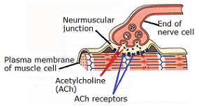 unit-5_ch-7_qn-231Exp_img_no1.png